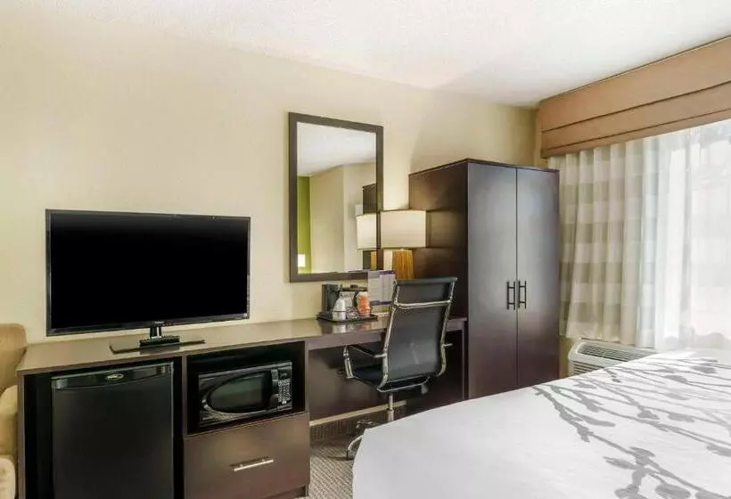 キングサイズベッドのスタンダードルーム, Sleep Inn