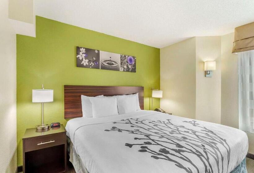 غرفة قياسية سرير كينج, Sleep Inn