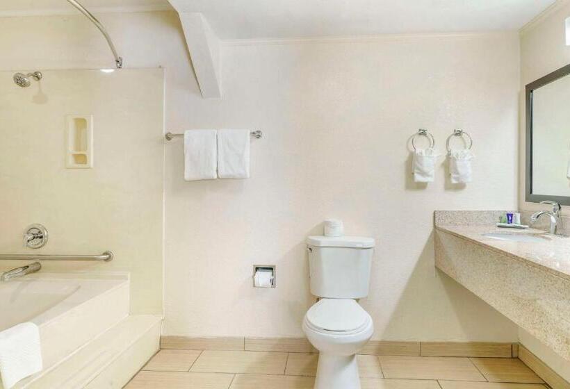 غرفة قياسية لذوى الاحتياجات الخاصة, Sleep Inn