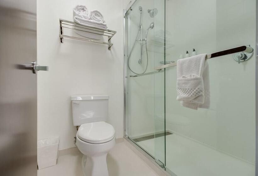 Люкс, Springhill Suites By Marriott Dallas Nw Highway At Stemmons / I 35east