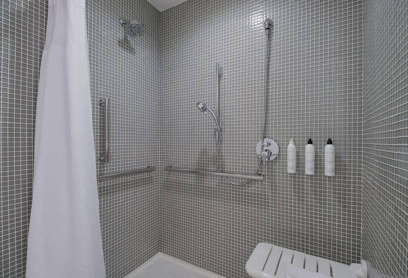 套房, Springhill Suites By Marriott Dallas Nw Highway At Stemmons / I 35east