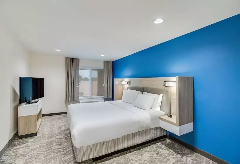 スイート, Springhill Suites By Marriott Dallas Nw Highway At Stemmons / I 35east