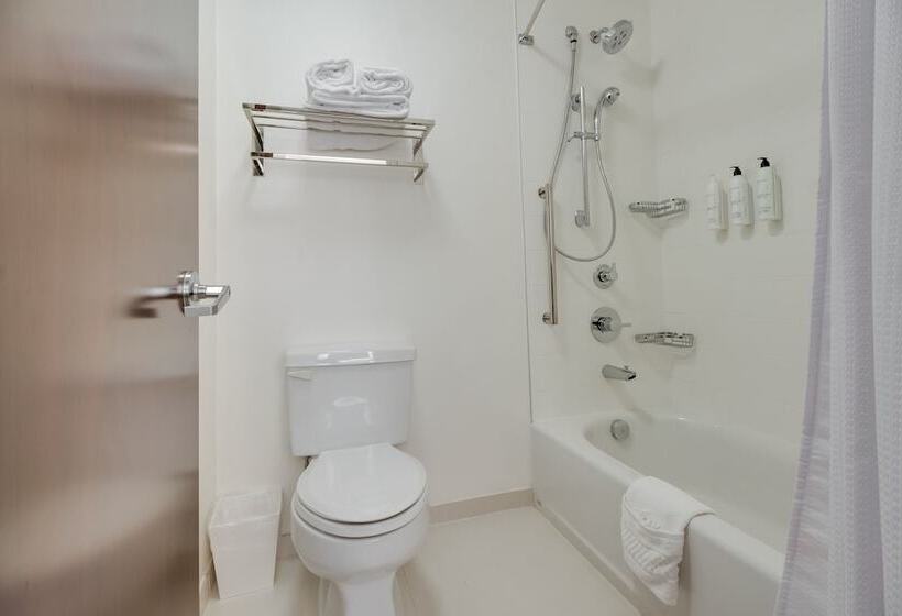 套房, Springhill Suites By Marriott Dallas Nw Highway At Stemmons / I 35east