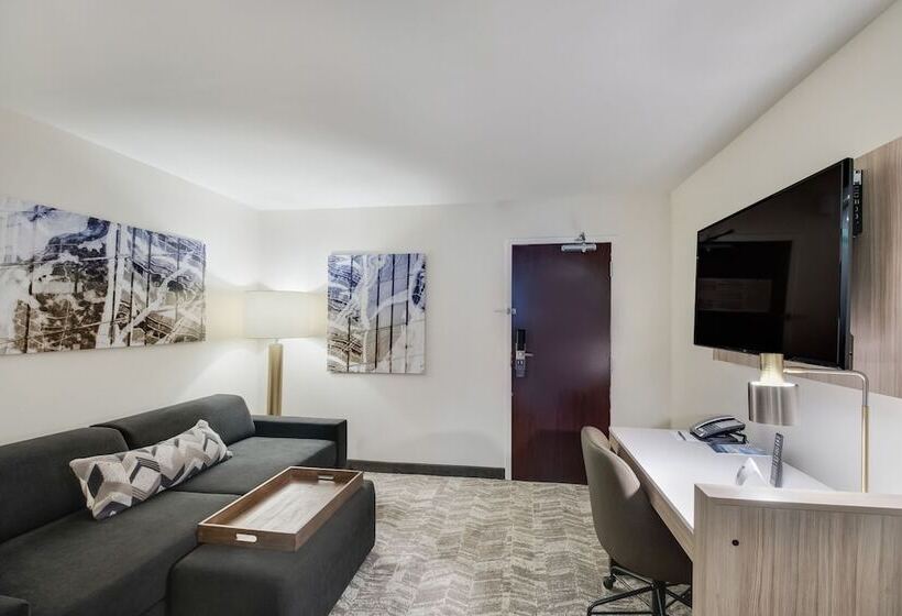 套房, Springhill Suites By Marriott Dallas Nw Highway At Stemmons / I 35east