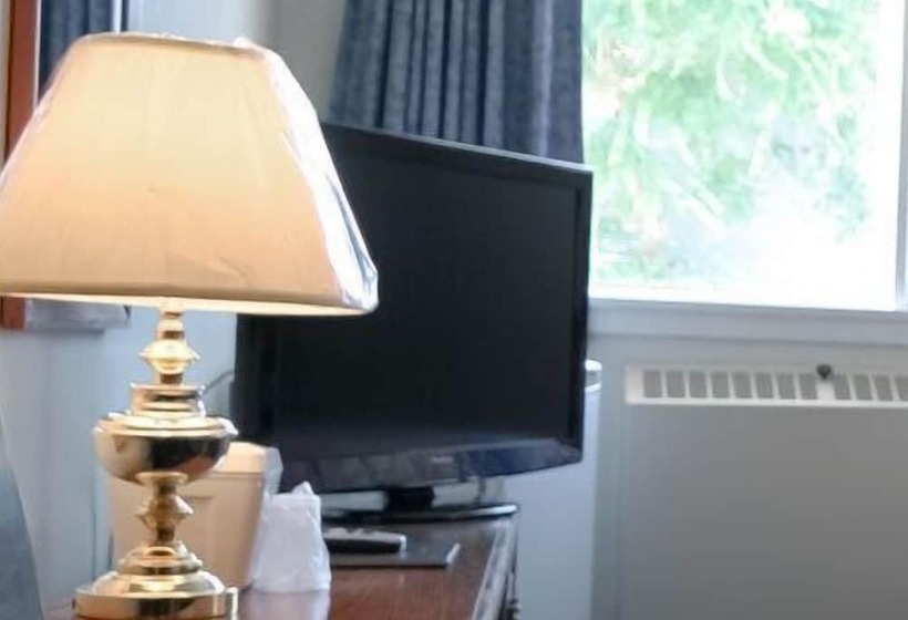 غرفه قياسيه سريرين مزدوجين, Airport Motor Inn