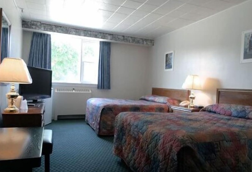 غرفه قياسيه سريرين مزدوجين, Airport Motor Inn