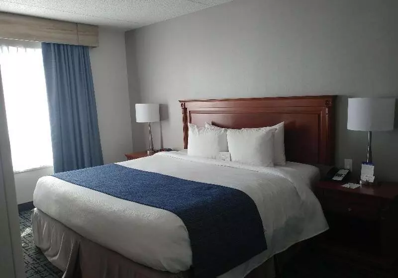 سوئیت با تخت بزرگ, Best Western Hotel Brossard