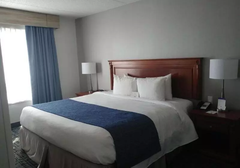 اتاق استاندارد با تخت بزرگ, Best Western Hotel Brossard