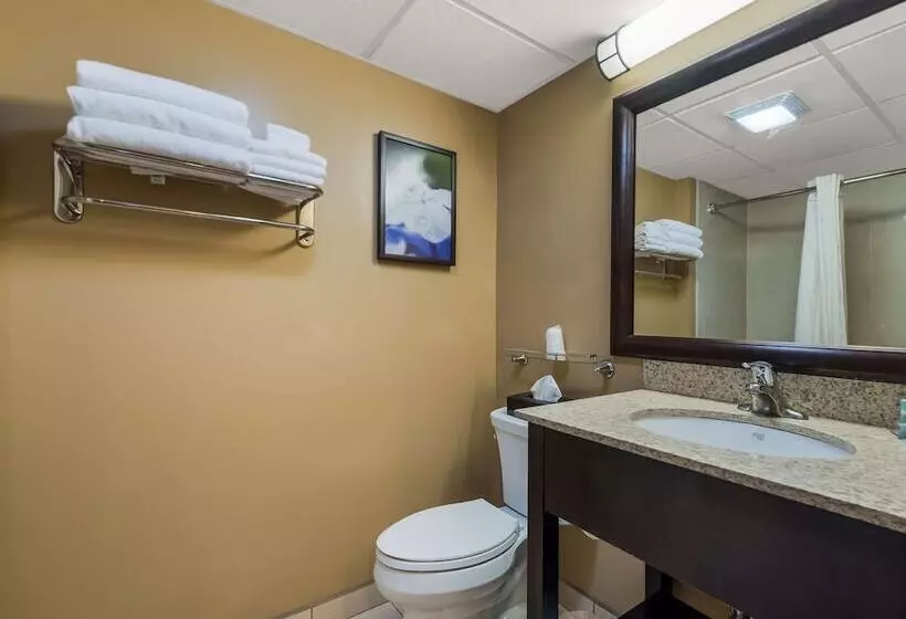 ２ダブルベッドのスタンダードルーム, Best Western Philadelphia South  West Deptford Inn