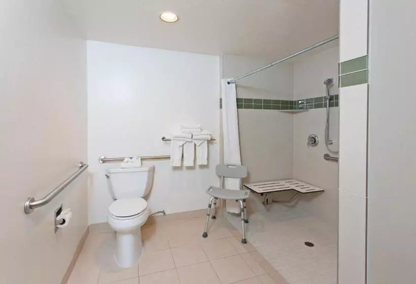 اتاق استاندارد با تخت بزرگ برای معلولان, Best Western Plus Executive Suites