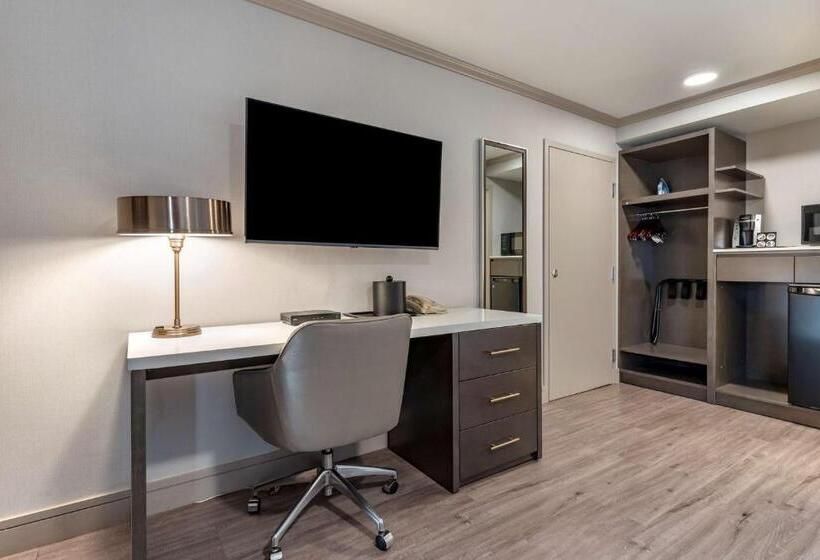 장애인을 위한 킹사이즈 침대 스탠다드 룸, Best Western Plus Executive Suites