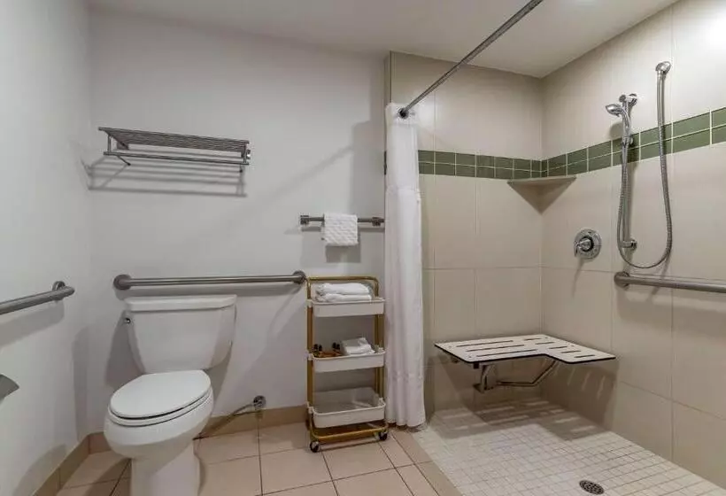 اتاق استاندارد با تخت بزرگ برای معلولان, Best Western Plus Executive Suites