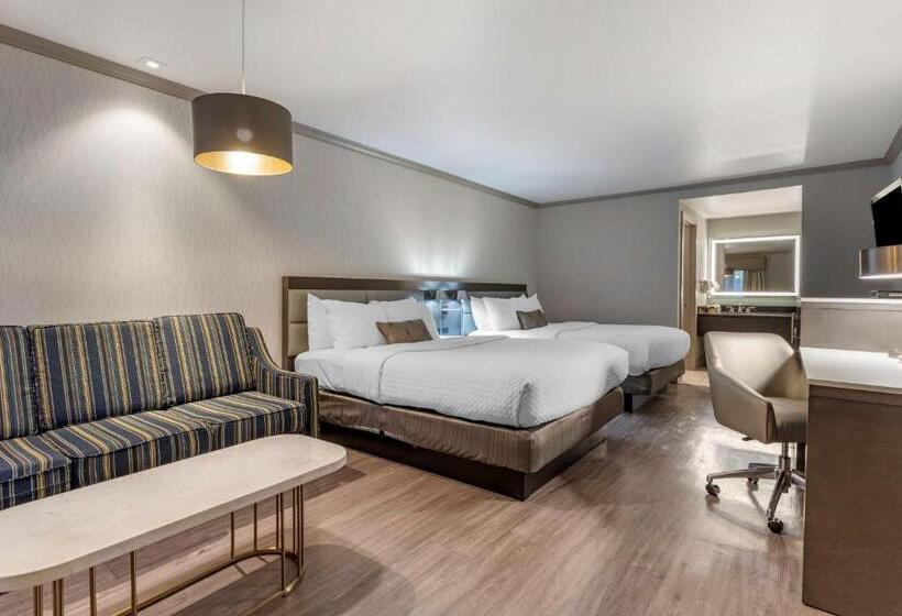 스탠다드 싱글 룸 퀸 침대, Best Western Plus Executive Suites