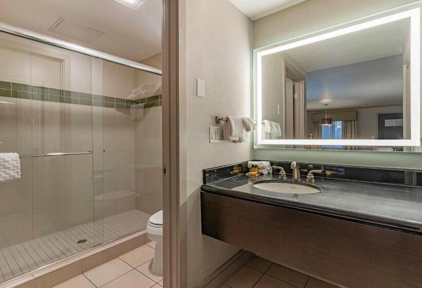 스탠다드 싱글 룸 퀸 침대, Best Western Plus Executive Suites