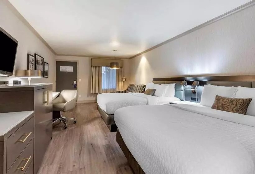 اتاق استاندارد یک تخته با تخت دونفره بزرگ, Best Western Plus Executive Suites