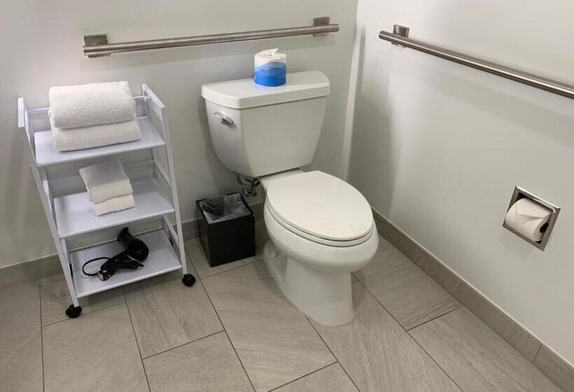 장애인을 위한 킹사이즈 침대 스탠다드 룸, Best Western Plus Executive Suites