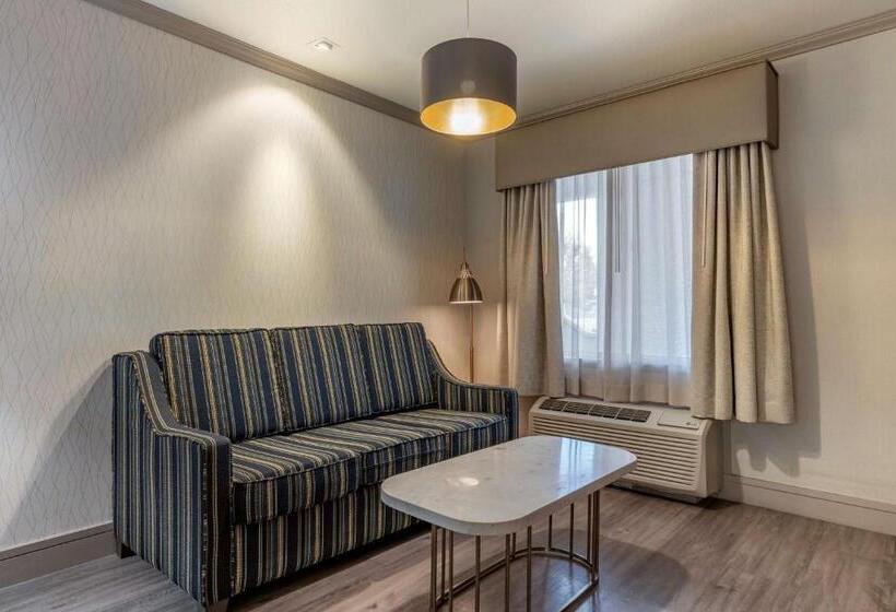 스탠다드 룸 킹사이즈 침대, Best Western Plus Executive Suites