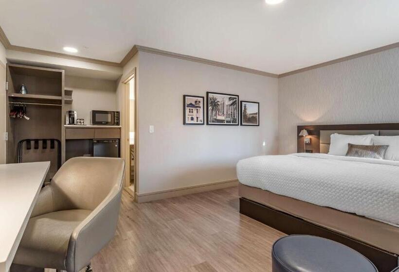 스탠다드 룸 킹사이즈 침대, Best Western Plus Executive Suites