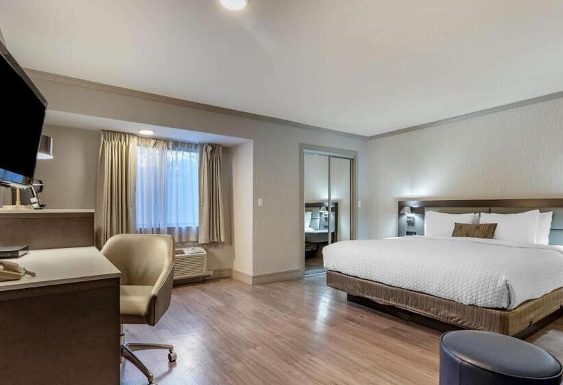 스탠다드 룸 킹사이즈 침대, Best Western Plus Executive Suites