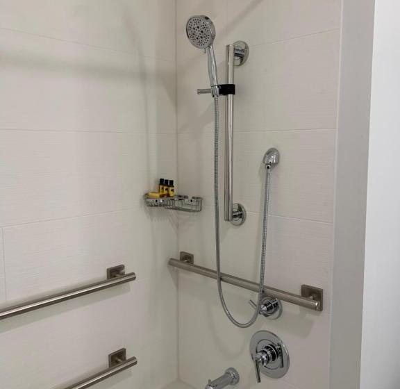 Номер Стандарт Кровать Кинг Адаптированный для Инвалидов, Best Western Plus Executive Suites