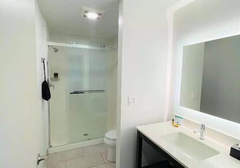 اتاق استاندارد با تخت بزرگ, Best Western Plus Executive Suites