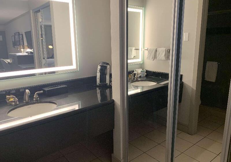 스탠다드 룸 킹사이즈 침대, Best Western Plus Executive Suites