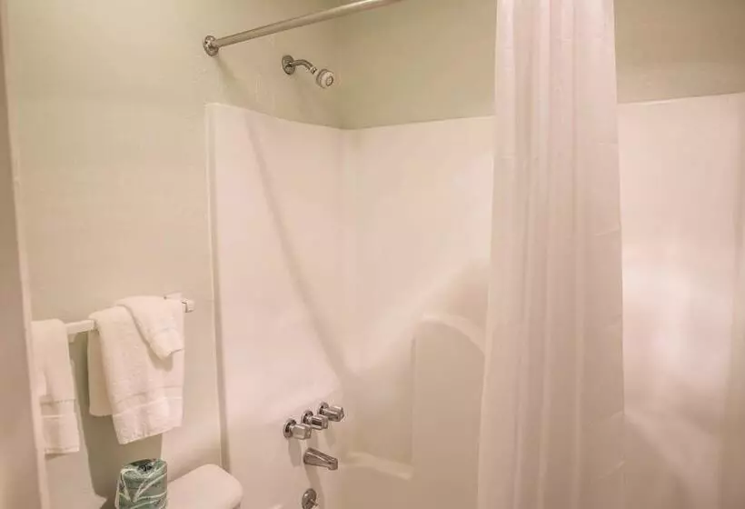 ２ダブルベッドのスタンダードルーム, Econo Lodge Crystal Coast