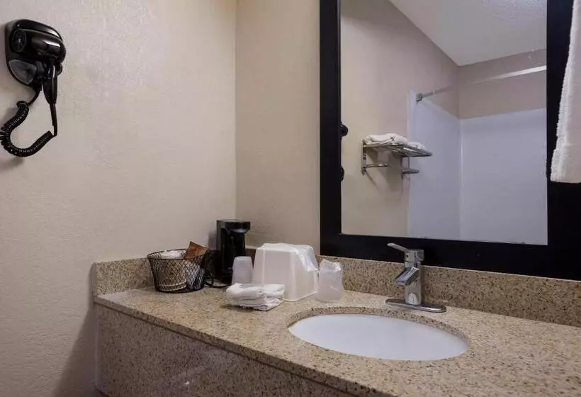 Deluxe-huone Soveltuu Liikuntarajoitteisille, Red Roof Inn & Suites Statesboro University