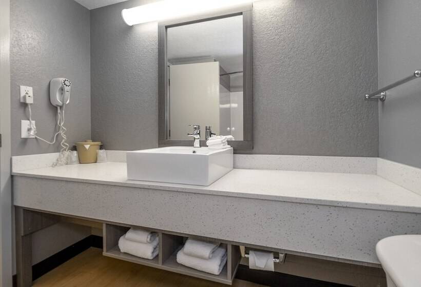 غرفه قياسيه سريرين مزدوجين, Red Roof Inn Plus Boston   Mansfield   Foxboro