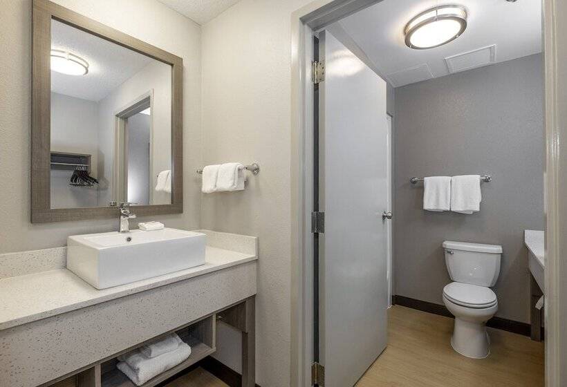 غرفه قياسيه سريرين مزدوجين, Red Roof Inn Plus Boston   Mansfield   Foxboro