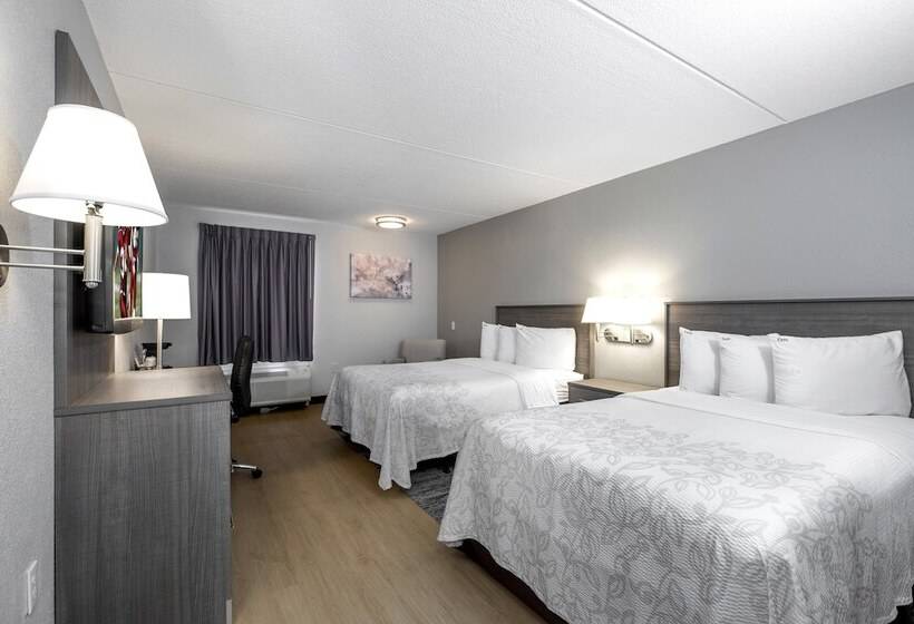 Номер Стандарт 2 Двуспальные Кровати, Red Roof Inn Plus Boston   Mansfield   Foxboro