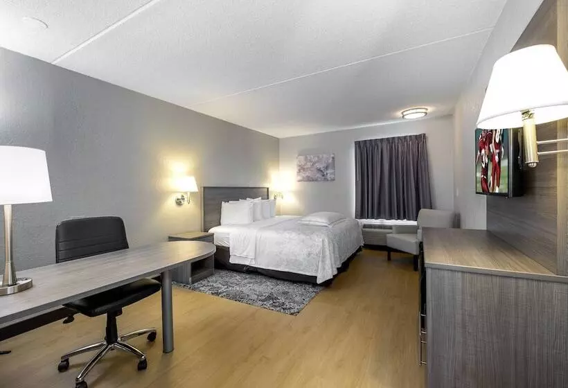 プレミアムルーム, Red Roof Inn Plus Boston   Mansfield   Foxboro