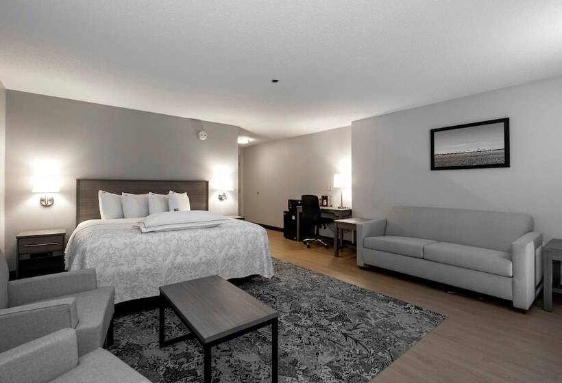 Номер Премиум, Red Roof Inn Plus Boston   Mansfield   Foxboro
