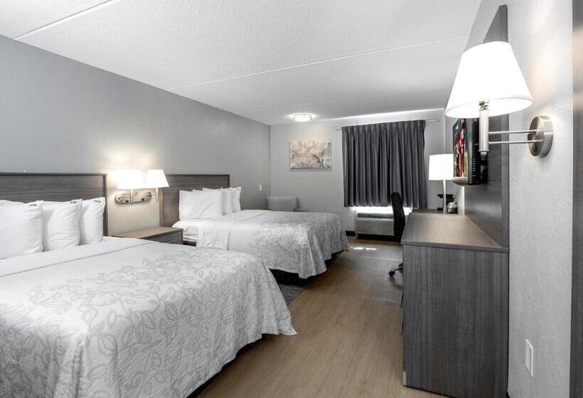 غرفه قياسيه سريرين مزدوجين, Red Roof Inn Plus Boston   Mansfield   Foxboro