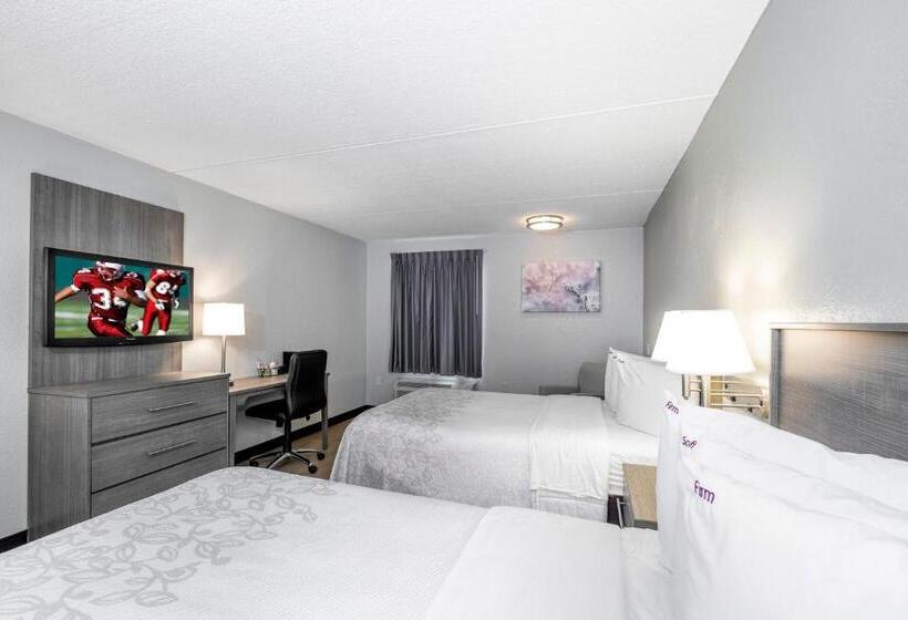 Номер Стандарт 2 Двуспальные Кровати, Red Roof Inn Plus Boston   Mansfield   Foxboro