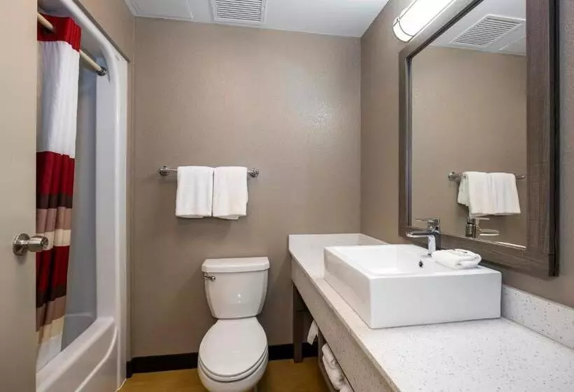 キングサイズベッドのスーペリアルーム, Red Roof Inn Plus Boston   Mansfield   Foxboro