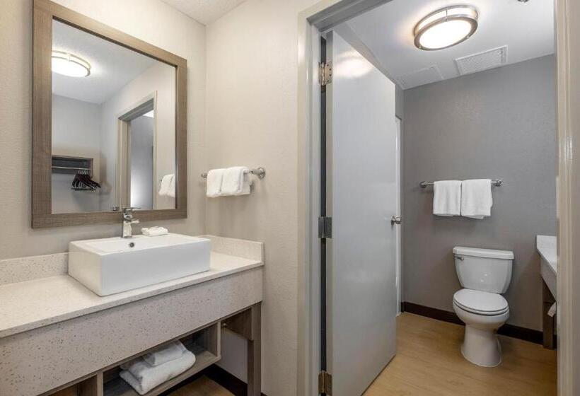 غرفة سوبيريور سرير كينج, Red Roof Inn Plus Boston   Mansfield   Foxboro