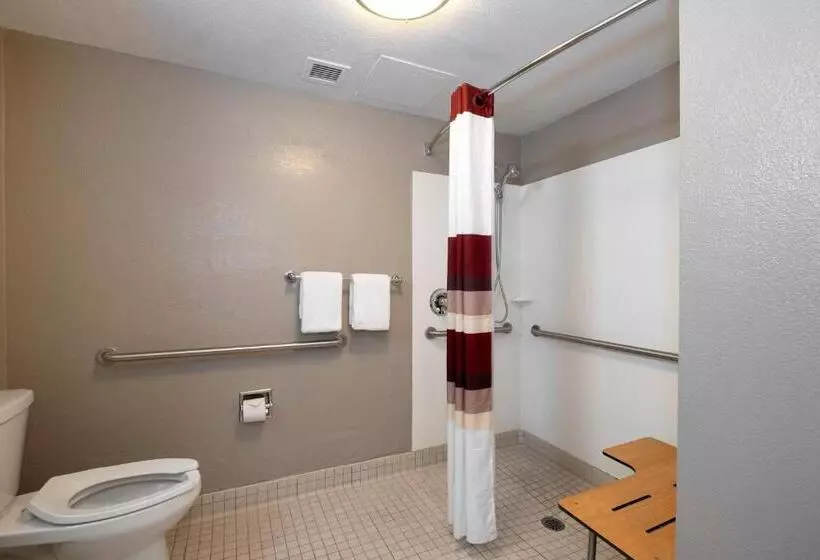 身障者適用スーペリアールーム, Red Roof Inn Plus Boston   Mansfield   Foxboro