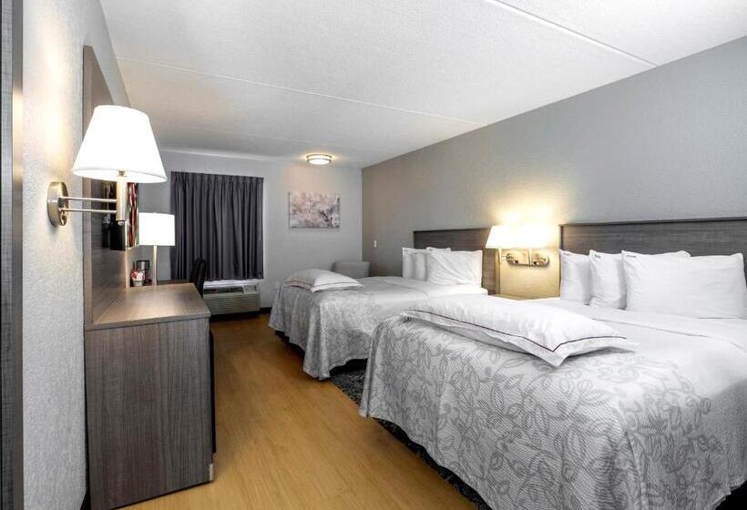 غرفة سوبيريور لذوى الاحتياجات الخاصة, Red Roof Inn Plus Boston   Mansfield   Foxboro