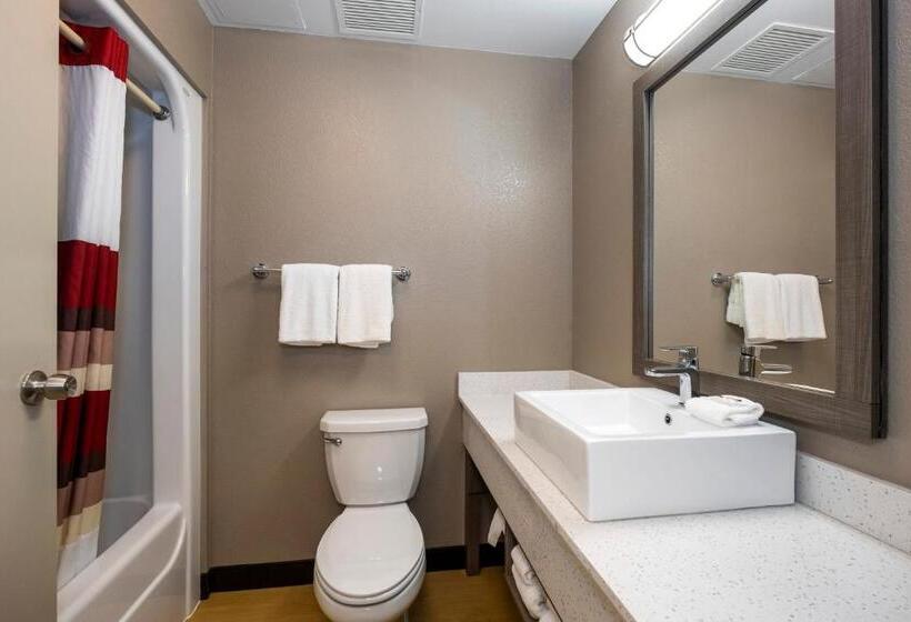 Номер Deluxe, Red Roof Inn Plus Boston   Mansfield   Foxboro