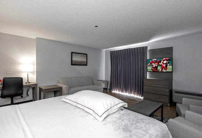 Номер Стандарт Адаптированный для Инвалидов, Red Roof Inn Plus Boston   Mansfield   Foxboro