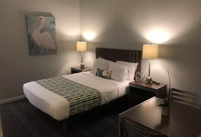 Deluxe-huone, Sand Dollar Inn