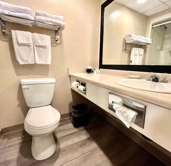 Люкс Кровать Кинг, Royal Hotel Lloydminster