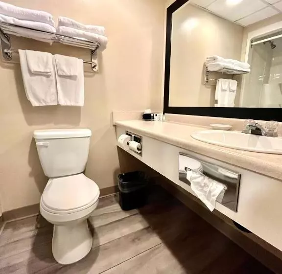 سوئیت با تخت بزرگ, Royal Hotel Lloydminster