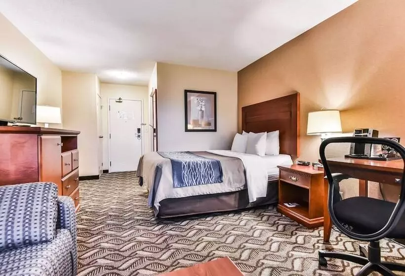 اتاق استاندارد در طبقه همکف, Comfort Inn & Suites Ambassador Bridge