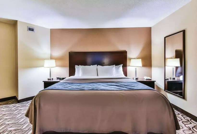 اتاق استاندارد در طبقه همکف, Comfort Inn & Suites Ambassador Bridge
