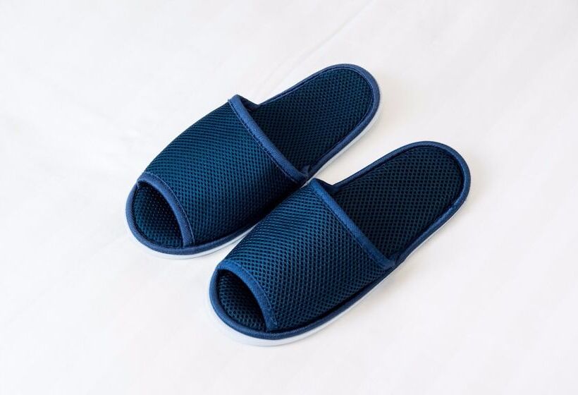 غرفة قياسية, Dormy Inn Mishima