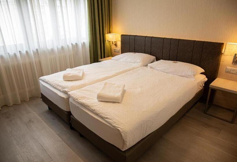 غرفة قياسية مطلة على الجبل, Nessi Locarno