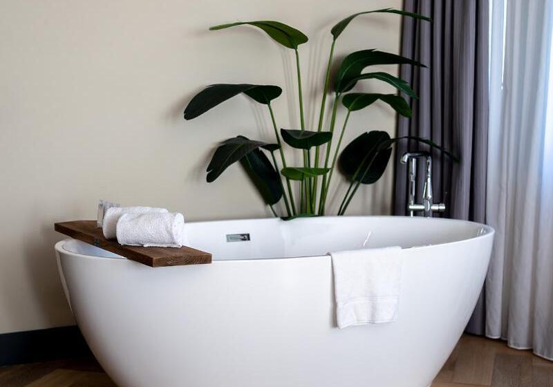 Полулюкс, Alkmaar