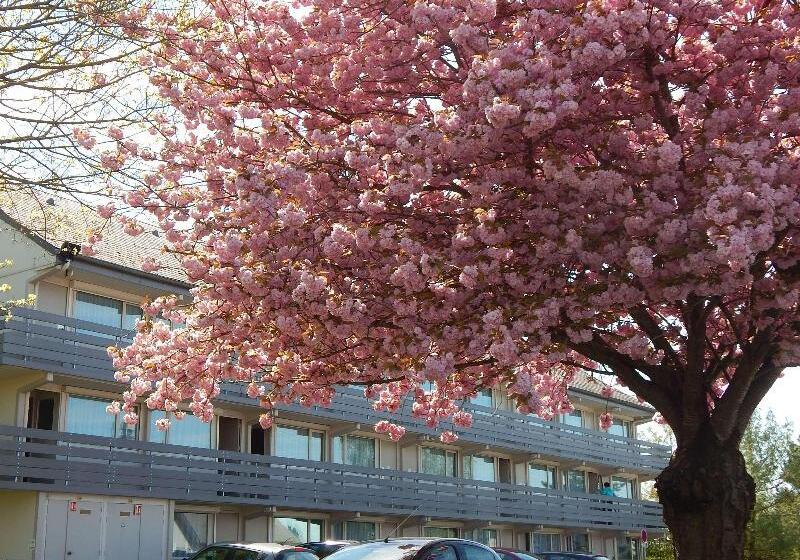 Номер Стандарт, Campanile Reims Est  Taissy